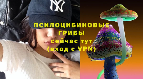 каннабис Каменногорск