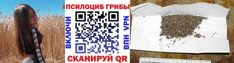 Галлюциногенные грибы Magic Shrooms  Купить где  Козловка 